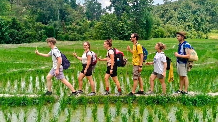 Chiang Mai: Jungle Trek, Elephants care & Bamboo Rafting - Who will enjoy this day most