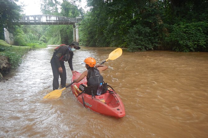 Chiang Mai : Kayak the Jungle Rivers of Chiang Dao Valley! - Is $74.97 a fair price?