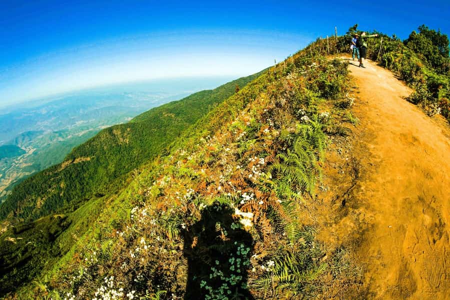 Chiang Mai: Kew Mae Pan Nature Trail & Doi Inthanon Day Trip - Should you book it?