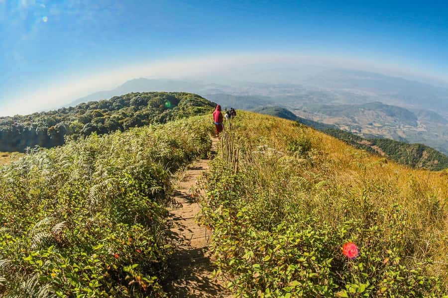 Chiang Mai: Kew Mae Pan Nature Trail & Doi Inthanon Day Trip - Reaching the Roof of Thailand