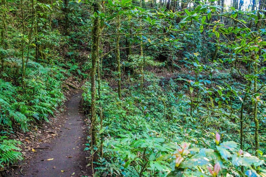Chiang Mai: Kew Mae Pan Nature Trail & Doi Inthanon Day Trip - What to bring and how to dress