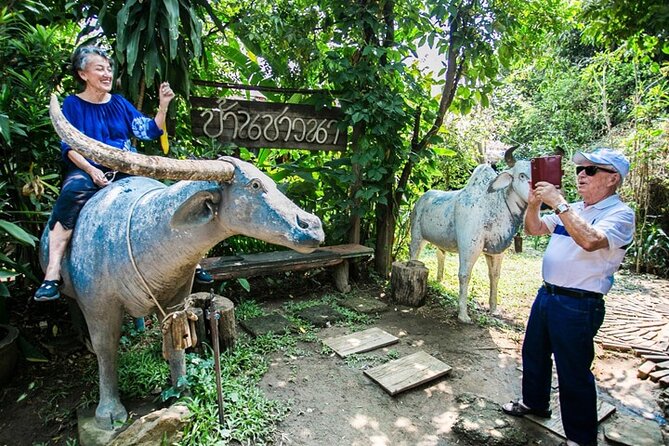 Chiang Mai Mae Ping River Cruise and Thai Farmer House Visit - What the cruise does well, and what it leaves out