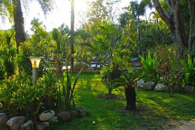 Chiang Mai Muay Thai Boxing Experience - Booking, cancellation, and useful planning notes