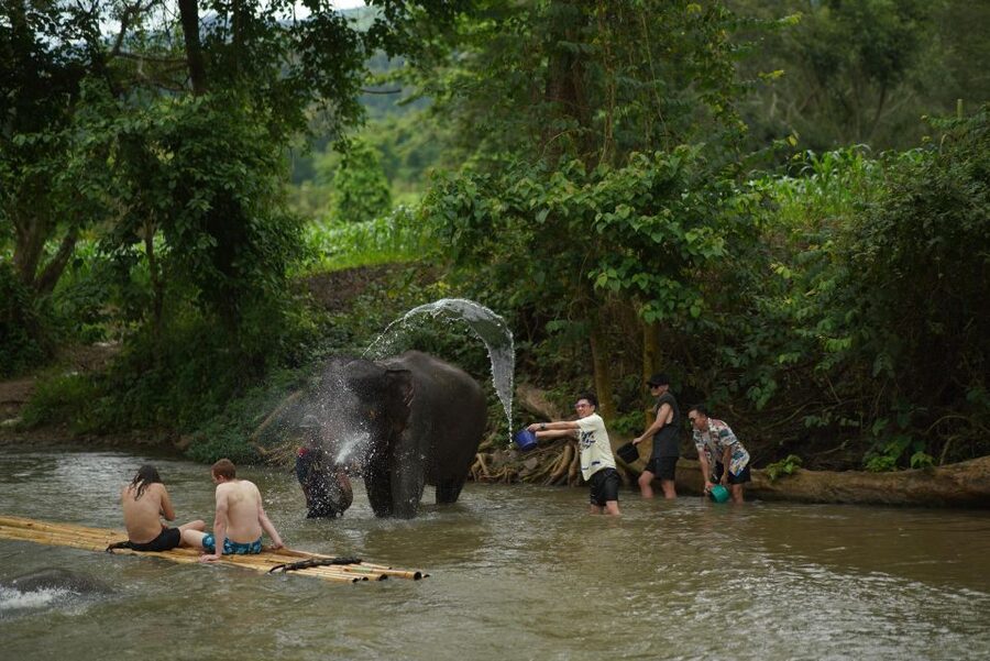 Chiang Mai: National Elephant Care, Rafting, & Ziplines Trip - The 1-hour-20-minute ride south from Chiang Mai