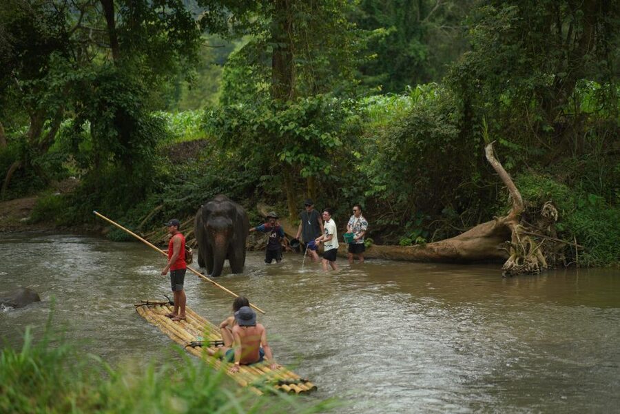 Chiang Mai: National Elephant Care, Rafting, & Ziplines Trip - The Mae Wang zipline course