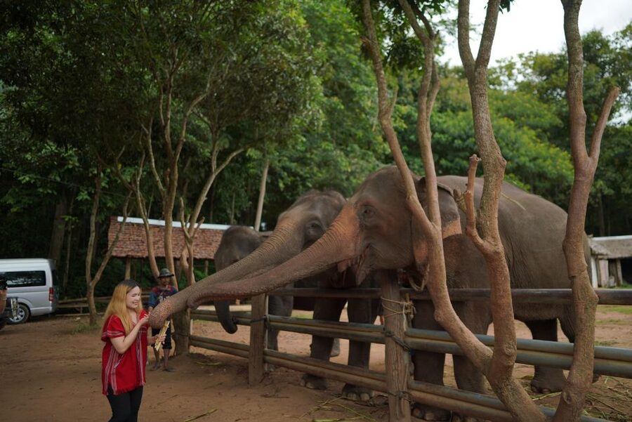 Chiang Mai: National Elephant Care, Rafting, & Ziplines Trip - Riverside lunch and a sensible pause