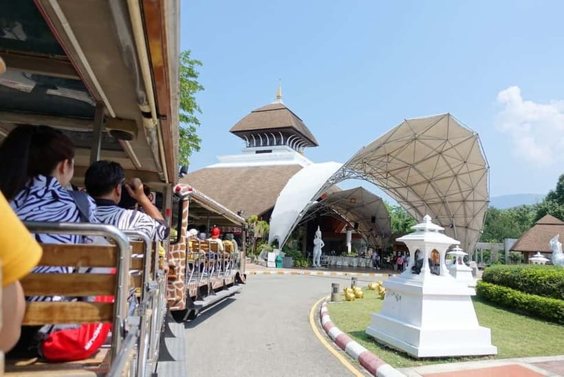 Chiang Mai Night Safari: Entry Ticket with Tram Ride - Why nighttime changes the zoo experience