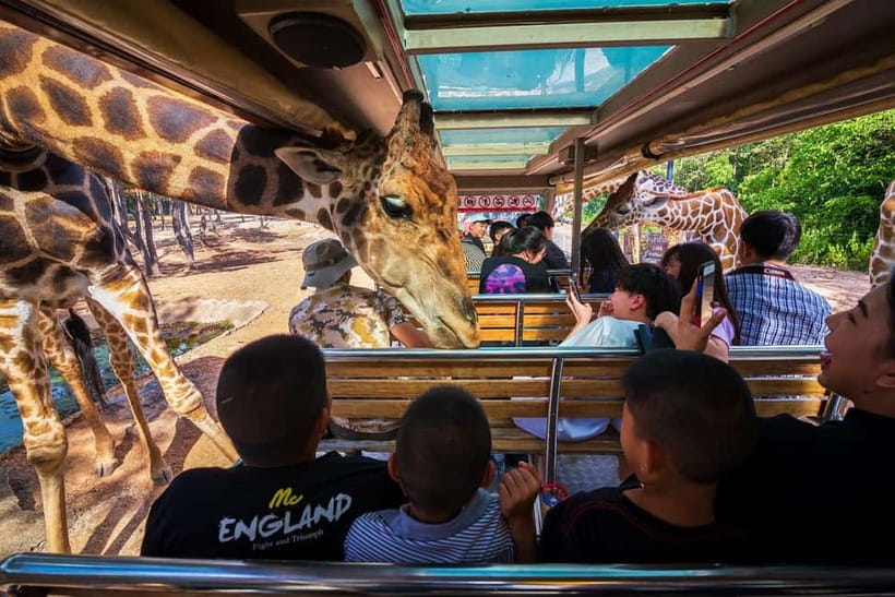 Chiang Mai Night Safari Ticket & Tram Rides Optional Pickup - What kind of night out is this?
