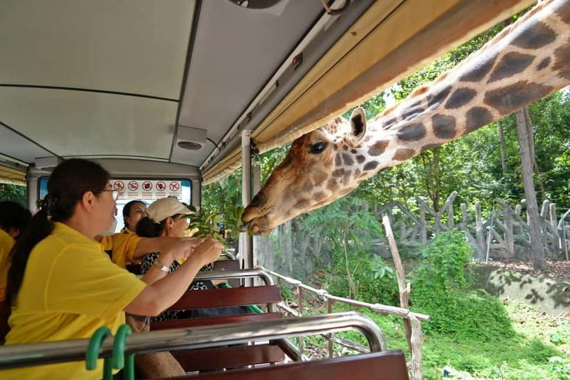 Chiang Mai Night Safari Ticket & Tram Rides Optional Pickup - Shows require a little planning