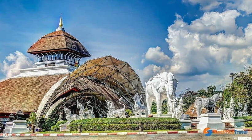 Chiang Mai Night Safari Ticket & Tram Rides Optional Pickup - A practical plan for your four and a half hours