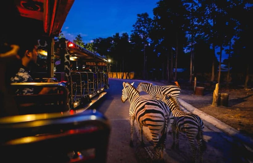 Chiang Mai Night Safari Ticket & Tram Rides Optional Pickup - Starting with the tram rides
