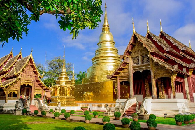 Chiang Mai Old City & Temples Guided Walking Tour - 3 Hrs - The guides make the biggest difference