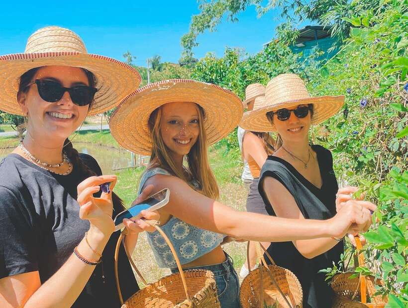 Chiang Mai Organic Thai Cooking Experience - Key points to know before booking