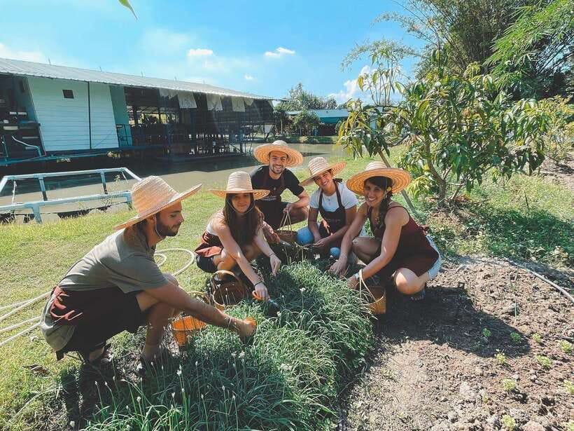 Chiang Mai Organic Thai Cooking Experience - Eating what you cooked in the farm setting