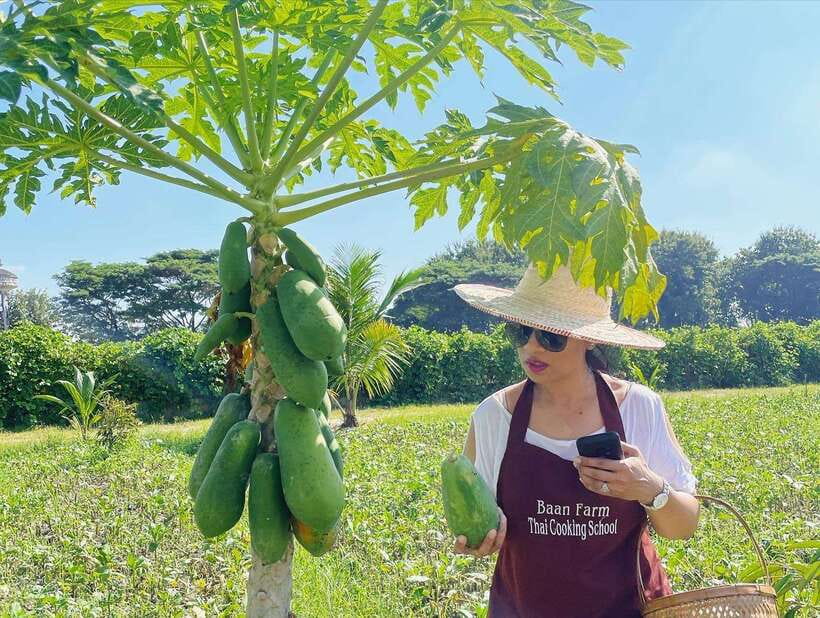 Chiang Mai Organic Thai Cooking Experience - Arriving at the organic farm near Chiang Mai
