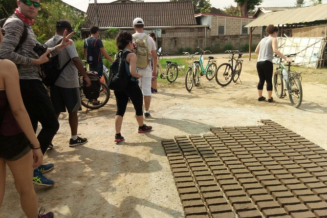 Chiang Mai Paradise Full-Day Cycling Adventure Tour - Rice paddies, mushrooms, and working farms