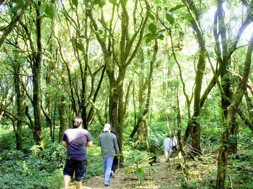 Chiang Mai: Pha Dok Siew Nature Trail & Doi Inthanon Trip - The morning pickup from Chiang Mai