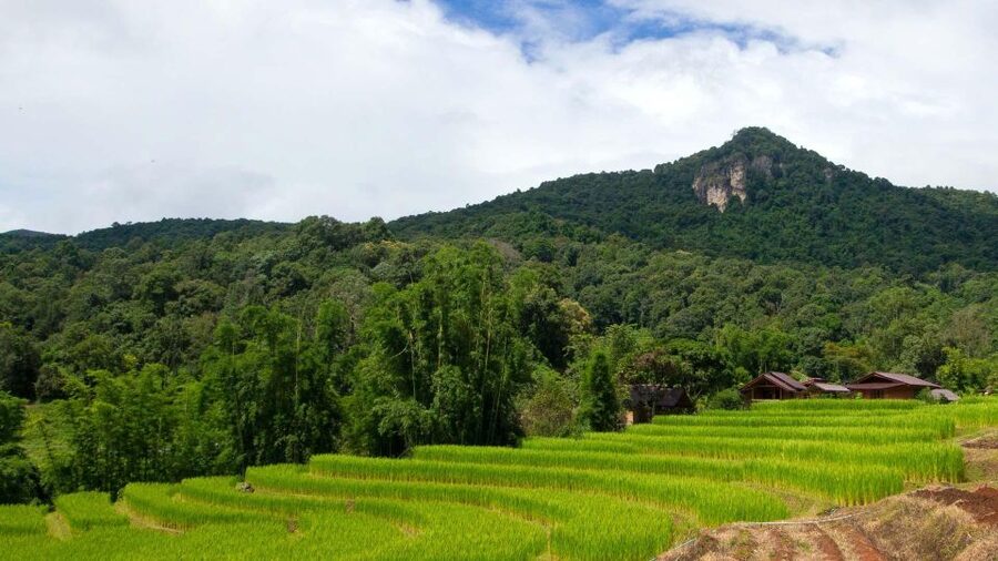 Chiang Mai: Pha Dok Siew Nature Trail & Doi Inthanon Trip - The White Karen village and Hmong Tribal Market