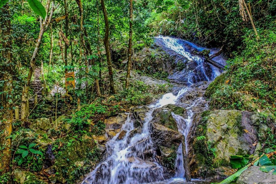 Chiang Mai: Pha Dok Siew Nature Trail & Doi Inthanon Trip - How the $43 price compares