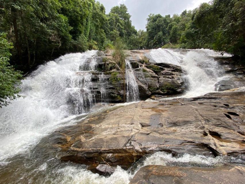 Chiang Mai: Pha Dok Siew Nature Trail & Doi Inthanon Trip - Walking the two-hour Pha Dok Siew Trail