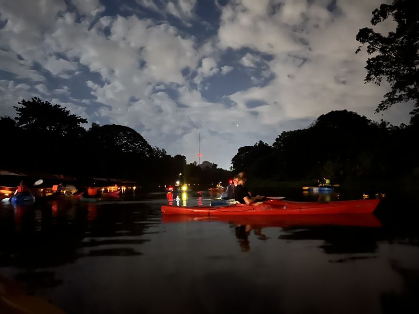 Chiang Mai: Ping River Night Kayaking into City Center - Wat Taa-Luk and the quiet start