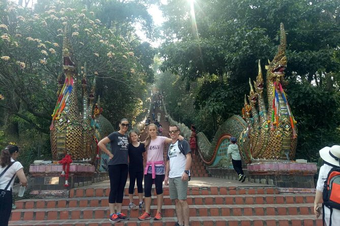 Chiang Mai Private Tour with Tea Plantation, Karen Village, Doi Suthep - Bai Orchid and Butterfly Farm, with buffet lunch