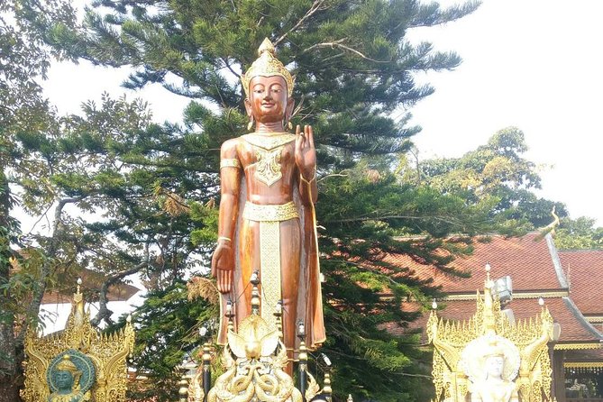 Chiang Mai Private Tour with Tea Plantation, Karen Village, Doi Suthep - What the private format adds
