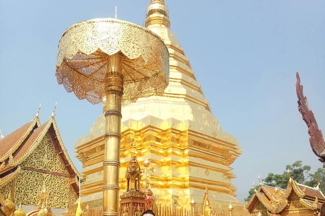 Chiang Mai Private Tour with Tea Plantation, Karen Village, Doi Suthep - The Karen Long Neck community visit