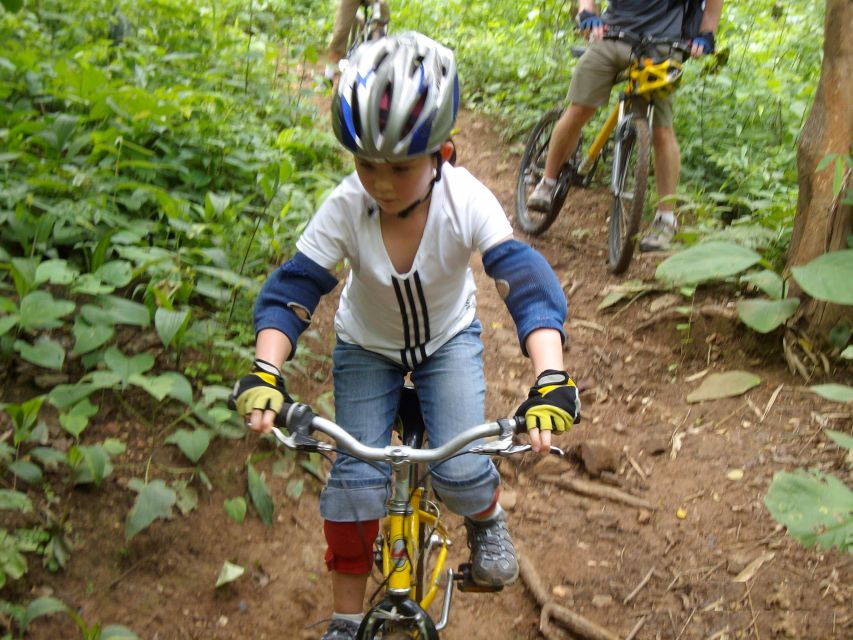 Chiang Mai: Rainforest Guided Mountain Biking Tour - Is $62 good value?