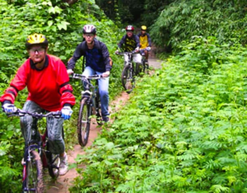 Chiang Mai: Rainforest Guided Mountain Biking Tour - The opening trail at Wat Doi Thaen Phra Pha Luang