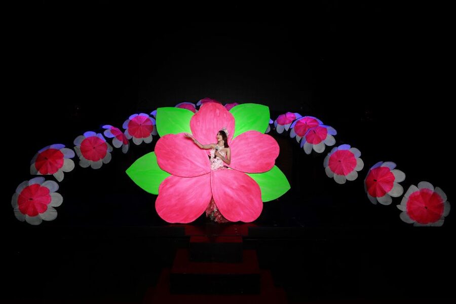 Chiang Mai: Siam Dragon Cabaret Show with Optional Transfer - What the Siam Dragon Cabaret show feels like
