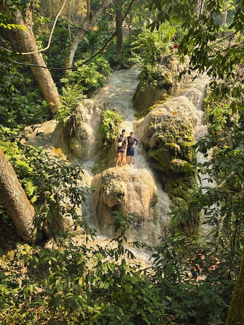 Chiang Mai:Sticky Watefall private tour with lunch - Arriving at Bua Tong’s climbable cascades