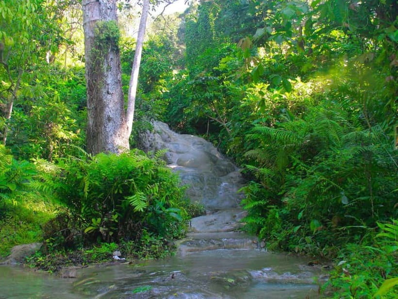 Chiang Mai: Sticky Waterfall by Local Truck with Market Stop - Who Should Book This Outing?