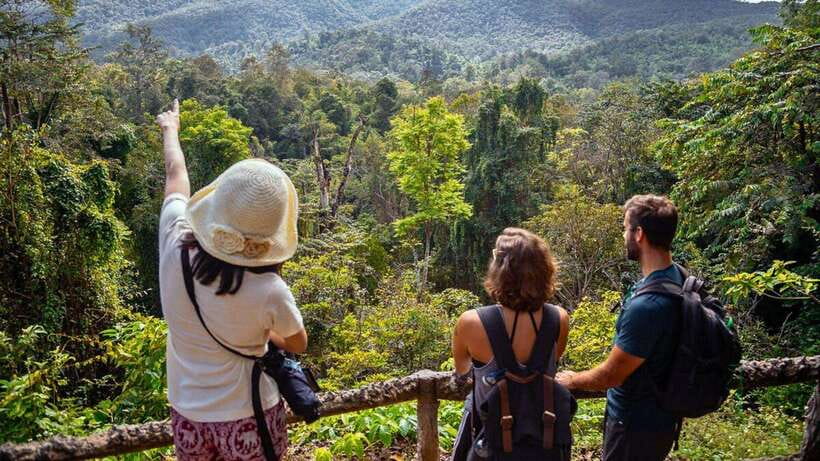 Chiang Mai: Sticky Waterfall, Chet Si Fountain Park Transfer - Key points at a glance