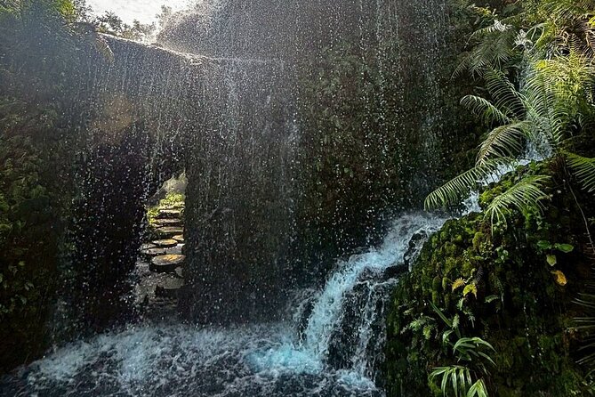 Chiang Mai Sticky Waterfall Dantewada and Banden Temple Tour - Three hours at Buatong Waterfall and Chet Si Fountain National Park