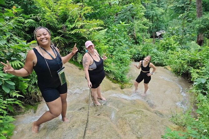 Chiang Mai Sticky Waterfall Dantewada and Banden Temple Tour - What the guide adds to a full day away from Chiang Mai