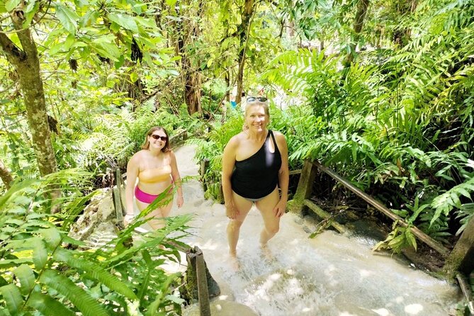 Chiang Mai Sticky Waterfall Dantewada and Banden Temple Tour - Is $59.83 a fair price?