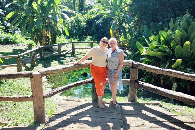 Chiang Mai Sticky Waterfall Dantewada and Banden Temple Tour - Who will enjoy this Chiang Mai day trip?