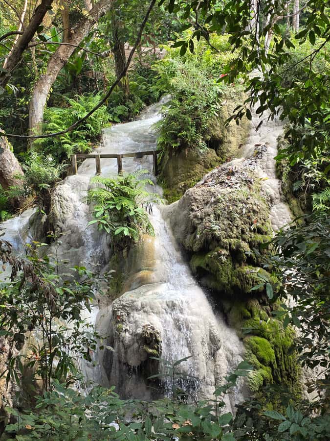 Chiang Mai : Sticky waterfall (Half Day Tour) Hotel Transfer - What the $19 price really covers