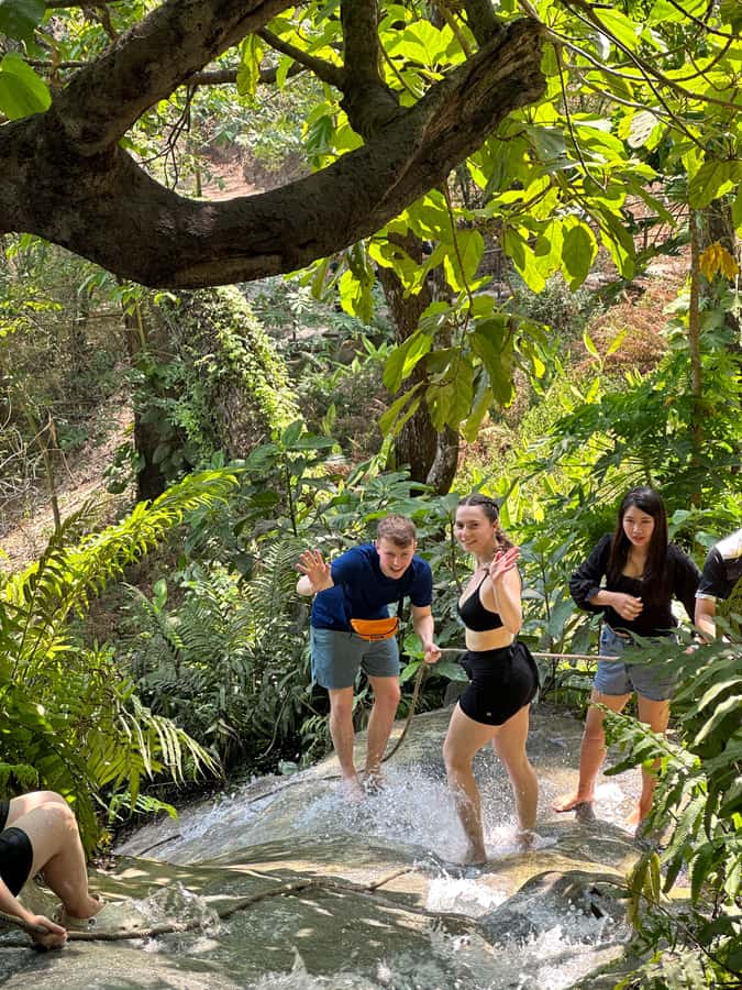 Chiang Mai : Sticky waterfall (Half Day Tour) Hotel Transfer - Choosing the morning or afternoon departure