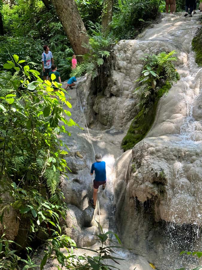 Chiang Mai : Sticky waterfall (Half Day Tour) Hotel Transfer - What to pack for a wet, self-guided outing