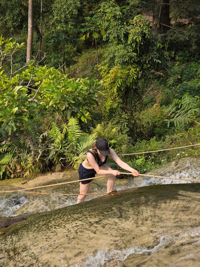 Chiang Mai : Sticky waterfall (Half Day Tour) Hotel Transfer - Who will enjoy this half-day tour most