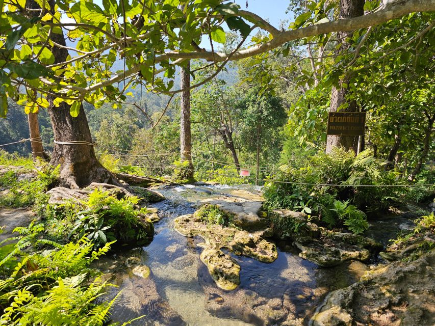 Chiang Mai: Sticky Waterfall Half-Day Tour & Hotel Transfers - Why Bua Thong Waterfall feels different