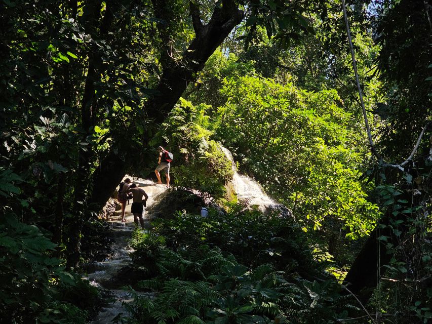 Chiang Mai: Sticky Waterfall Half-Day Tour & Hotel Transfers - Two hours at the falls, step by step