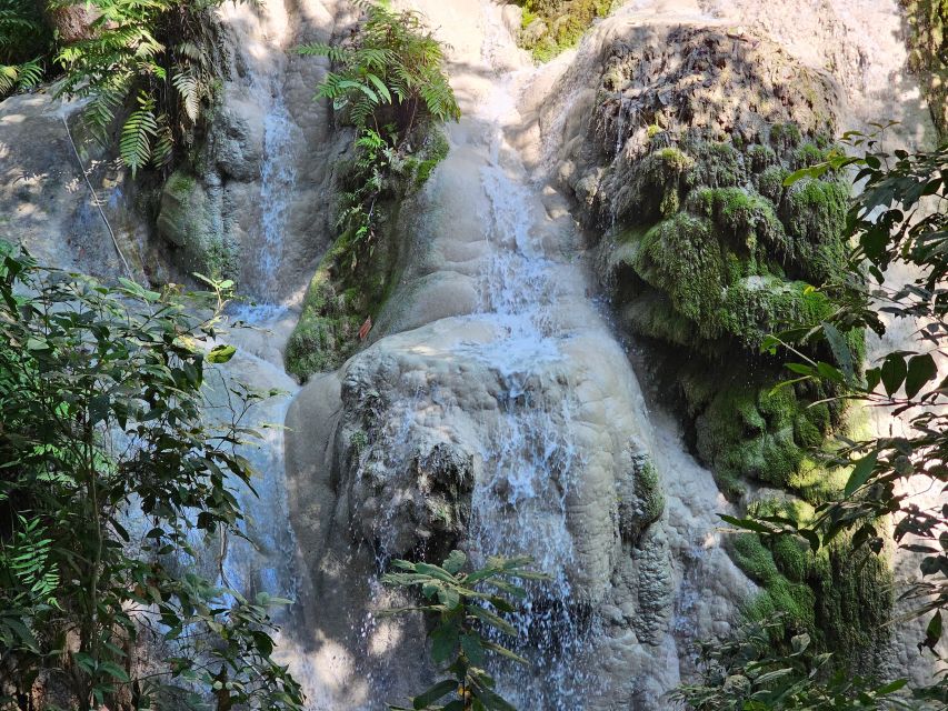 Chiang Mai: Sticky Waterfall Half-Day Tour & Hotel Transfers - Why an early start changes the whole visit