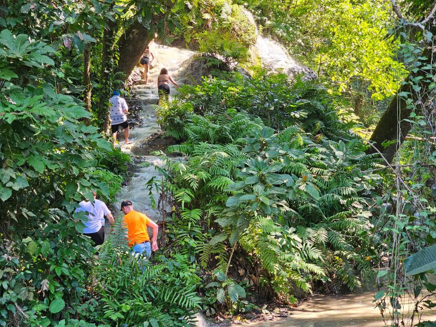 Chiang Mai: Sticky Waterfall Half-Day Tour & Hotel Transfers - What to pack for the limestone climb
