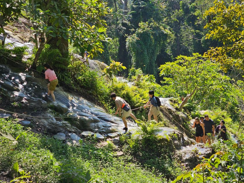 Chiang Mai: Sticky Waterfall Half-Day Tour & Hotel Transfers - Who will enjoy this half-day trip most?