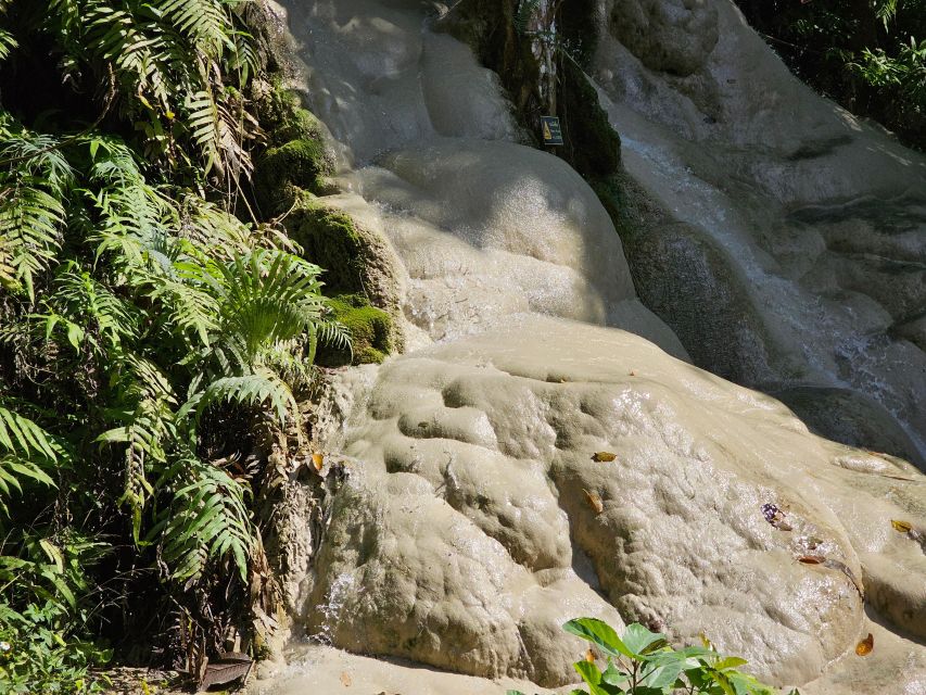 Chiang Mai: Sticky Waterfall Half-Day Tour & Hotel Transfers - Practical details that affect your day