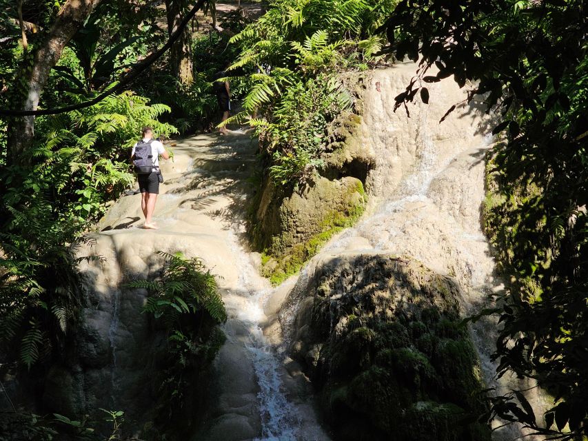 Chiang Mai: Sticky Waterfall Half-Day Tour & Hotel Transfers - A four-hour outing from central Chiang Mai