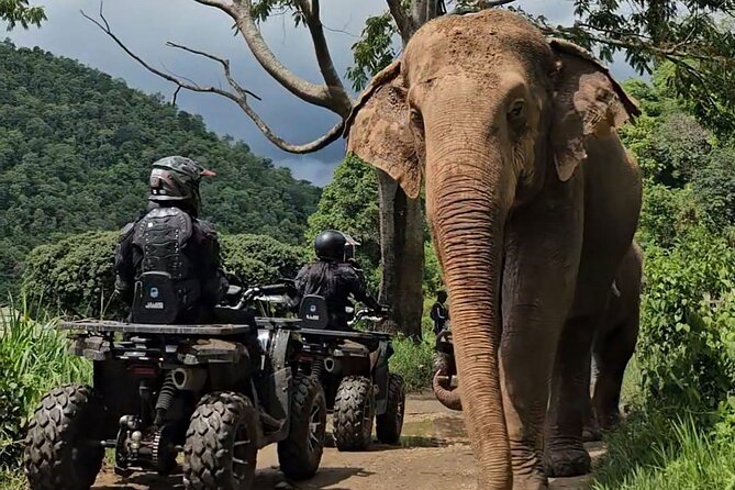 Chiang Mai Sticky Waterfall Tour ATV and Scenic Café - The scenic café is more than a snack stop